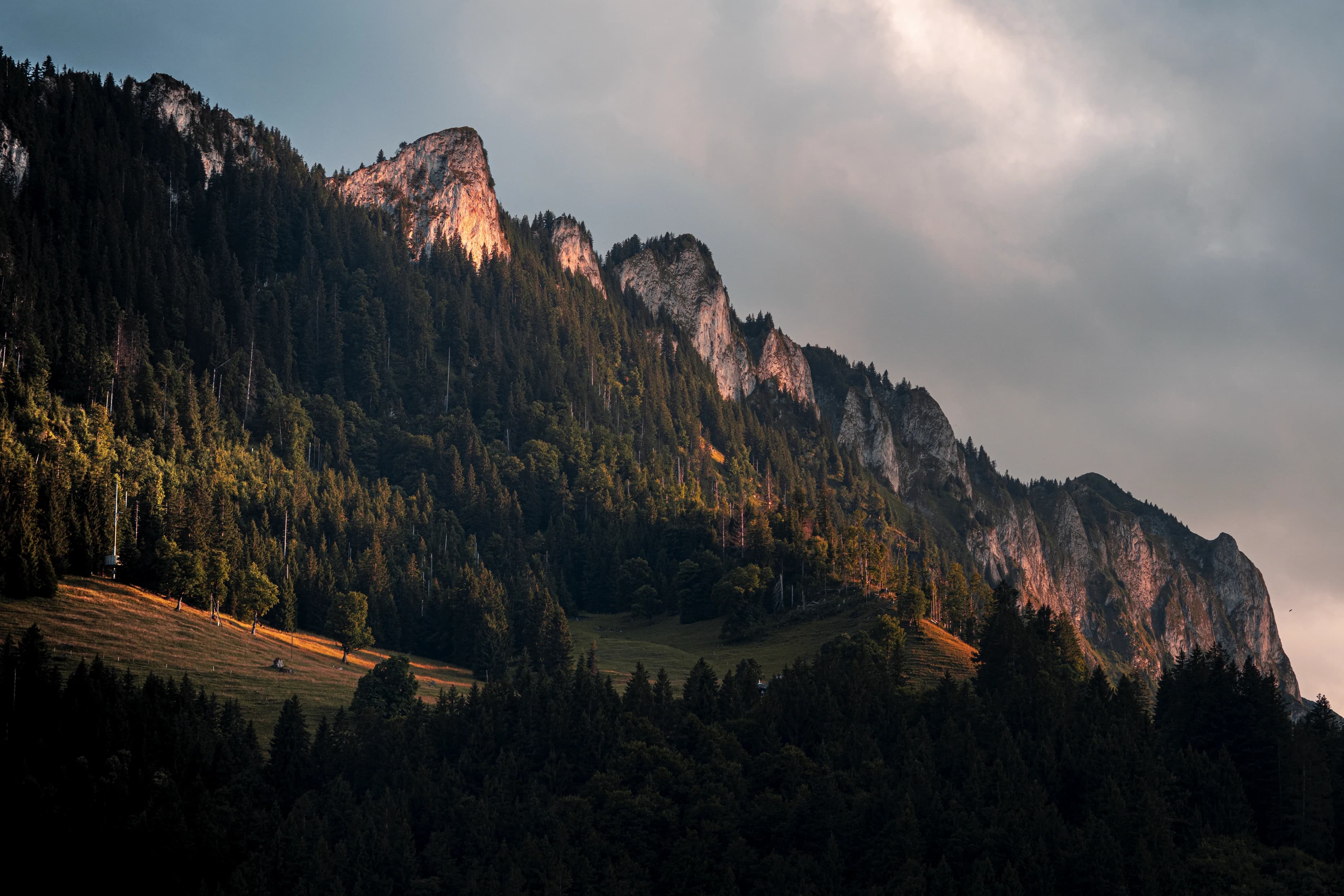 Impression 11